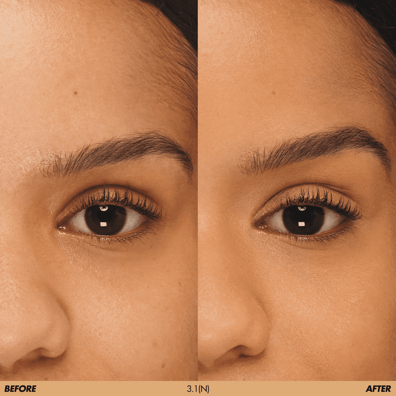 3.1 (N) HD Skin Concealer 3
