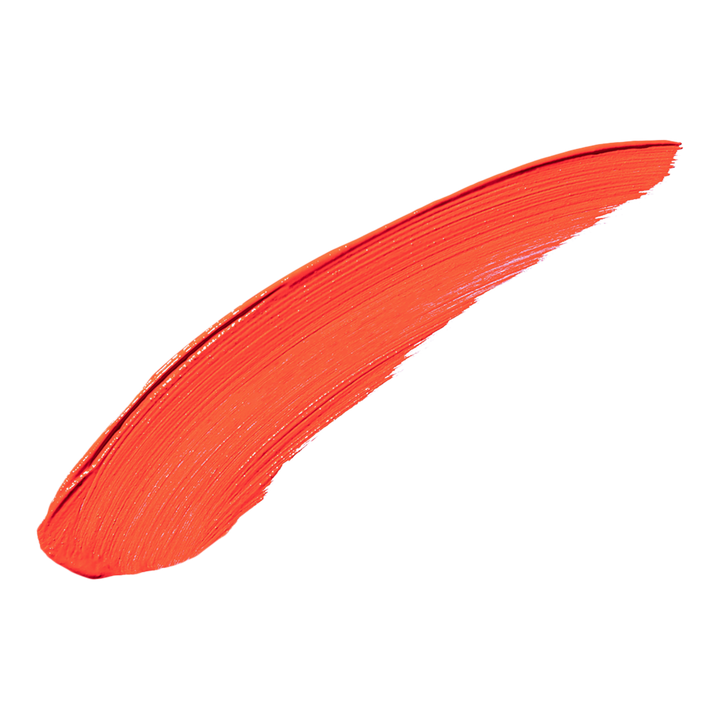 Matte Lip Color Canyon On Fire 4