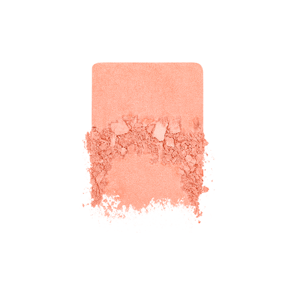 B200 Rebel Blossom  Artist Blush 2