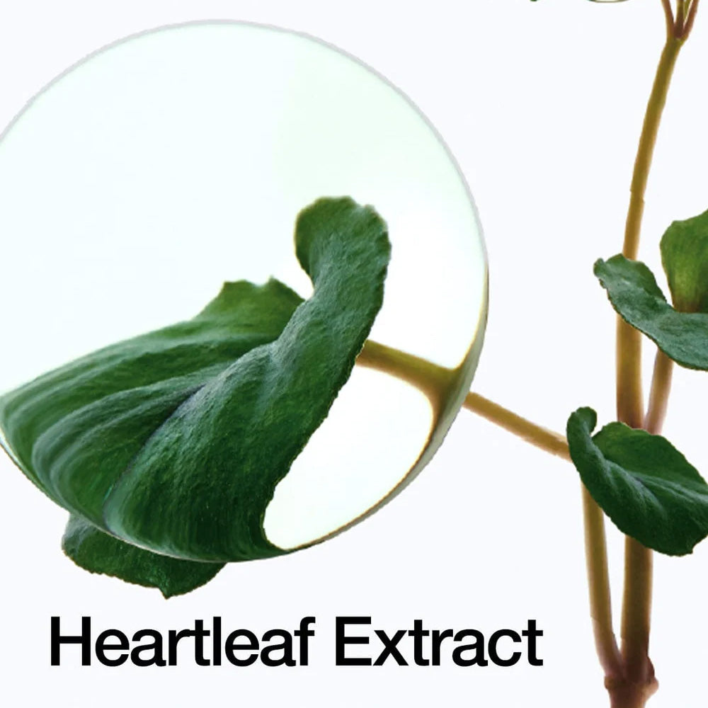 Heartleaf Pore Control Cleansing Oil 3