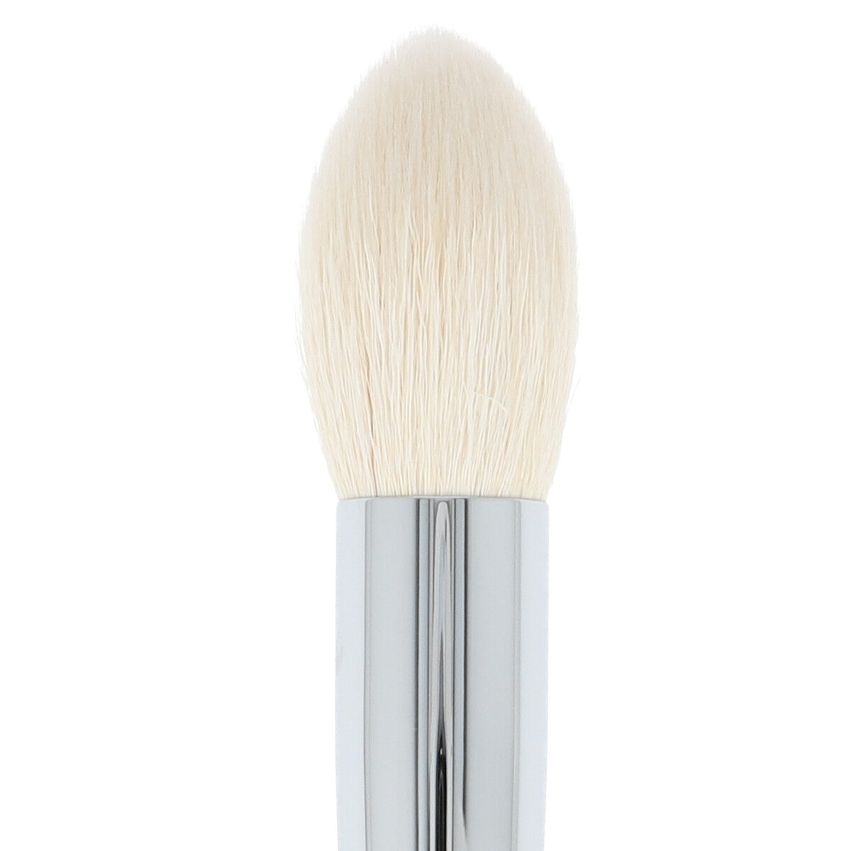 NG307 Pointed Contour 2