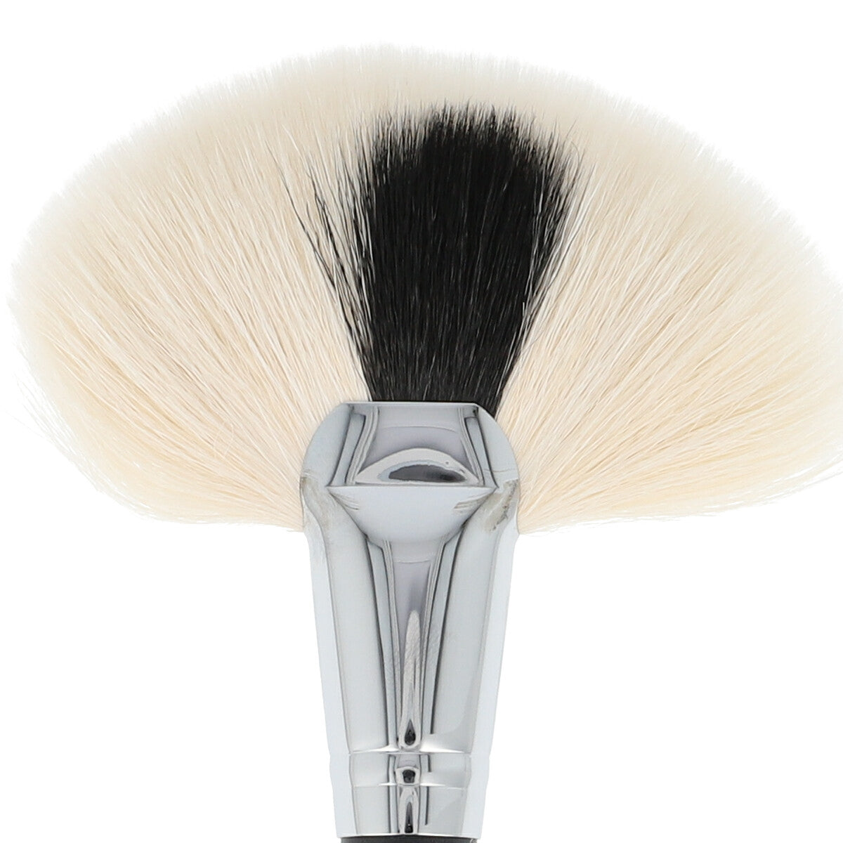 NG320 Large Fan Brush 2