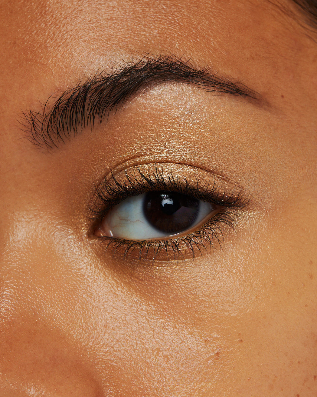 Shadowboxer Eye Crayon Gilded Gaze 2